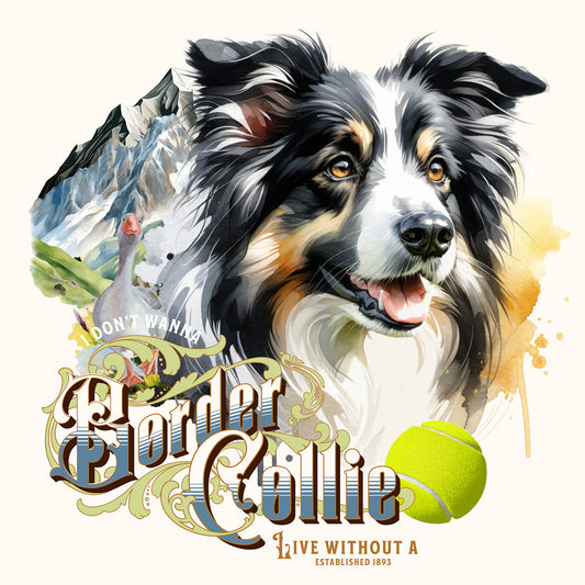Border Collie - Tableau décoratif