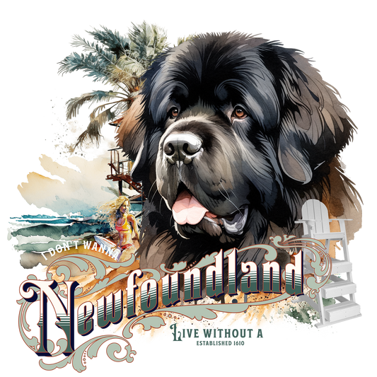 Newfoundland - Tableau décoratif